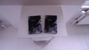 Sophronia - my MA show