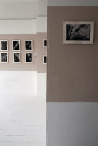 Sophronia - my MA show