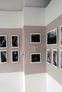 Sophronia - my MA show