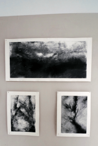 Sophronia - my MA show