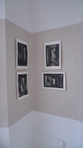 Sophronia - my MA show