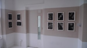 Sophronia - my MA show