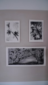 Sophronia - my MA show