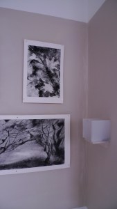 Sophronia - my MA show