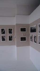 Sophronia - my MA show