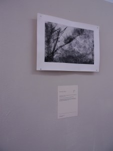 Sophronia - my MA show